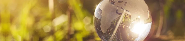 A globe ornament with sunlight reflecting off it. 