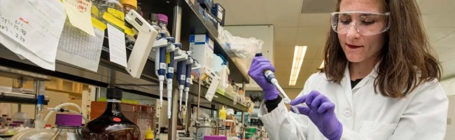 Featured image for Pharmacologist: job description