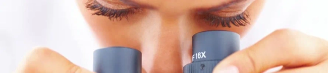 Featured image for How do I get a graduate job in science, research and development?