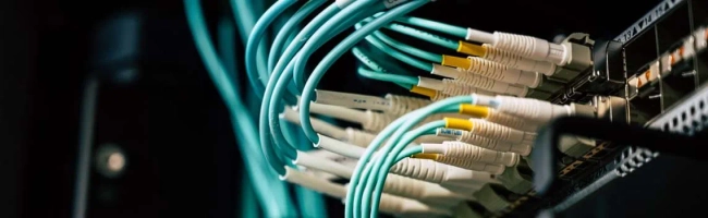 Featured image for Network administrator: job description