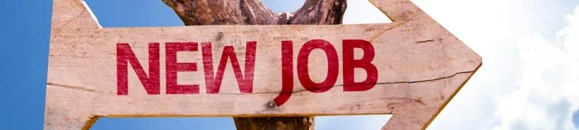 Featured image for How to accept or decline a job offer