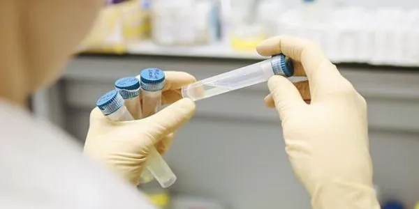 Thumbnail image for Biomedical scientist: job description